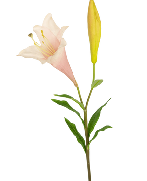 La flor artificial lirio exótico 74 cm rosa tiene un solo tallo con un lirio floreciente de color rosa claro y un capullo amarillo cerrado, rodeado de esbeltas hojas verdes, sobre un fondo blanco.