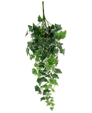 La hiedra artificial de 70 cm verde/blanco tiene hojas de hiedra artificiales en verde con bordes blancos, dispuestas en forma de cascada y expuestas sobre un fondo blanco liso.
