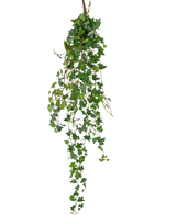 La planta colgante artificial Ivy deluxe 120 cm verde tiene largos zarcillos verdes con hojas en forma de corazón, perfectos para añadir un toque de belleza natural sobre un fondo blanco liso.
