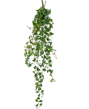 La planta colgante artificial Ivy deluxe 120 cm verde tiene largos zarcillos verdes con hojas en forma de corazón, perfectos para añadir un toque de belleza natural sobre un fondo blanco liso.
