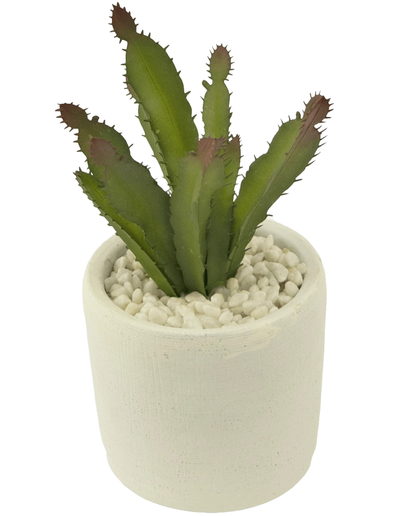 La planta suculenta artificial de 20 cm es una suculenta verde puntiaguda con puntas rojizas en una maceta de cerámica blanca llena de guijarros blancos, representada sobre un fondo blanco liso.