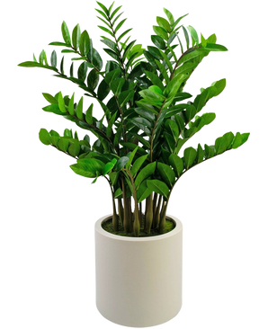 La planta artificial Zamioculcas, ya preparada, de 120 cm de altura con hojas de color verde brillante, se alza en una sencilla maceta beige sobre un fondo blanco liso.