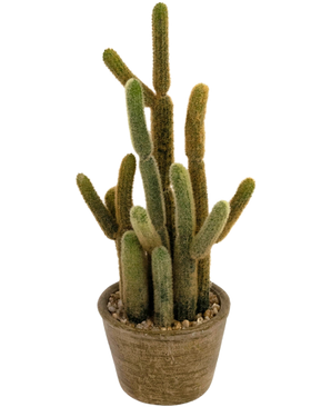 El Cactus Artificial Cereus de 35 cm tiene varios tallos largos y esponjosos de color verde y marrón que crecen hacia arriba en diferentes direcciones, en una maceta redonda con textura y piedras decorativas.