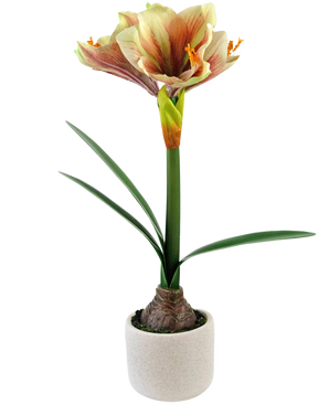 La Flor Artificial Amarilis Real Touch Rojo/Amarillo 48 cm tiene hojas verdes realistas y un tallo alto con flores rojas y amarillas en forma de trompeta, bellamente presentadas sobre un fondo blanco.