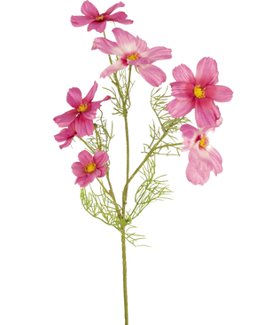 Una sola Flor Artificial Cosmos de 74 cm fucsia con hojas delicadas y plumosas y múltiples flores fucsia con centros amarillos se muestra sobre un fondo blanco liso.