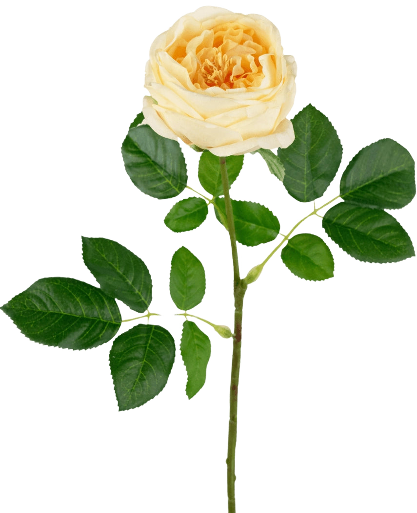 La Rosa de Jardín Artificial "Anniken" Real Touch amarilla de 72 cm tiene una única rosa amarilla con múltiples hojas verdes en un tallo largo, sobre un fondo blanco liso.