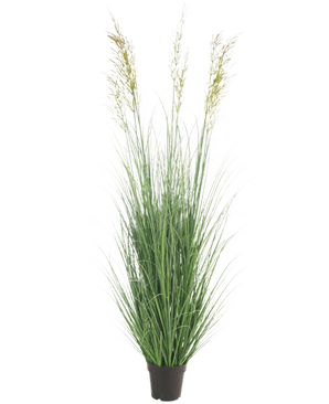 La planta de césped artificial Trigo ignífugo de 150 cm es una planta alta que no requiere mantenimiento, con esbeltas hojas verdes y penachos en una maceta, ideal como decoración de jardín, representada sobre un fondo blanco liso.