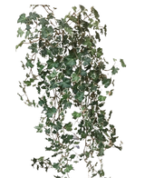 La hiedra artificial Deluxe Rich Green-White de 90 cm tiene exuberantes hojas lobuladas de color verde y blanco sobre tallos colgantes, que destacan maravillosamente sobre un fondo blanco liso.