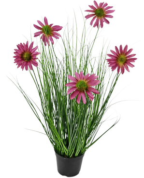 La Planta de Césped Artificial Crisantemo 60 cm retardante de fuego tiene hojas verdes largas y delgadas que parecen hierba y seis flores de crisantemo rosa con un corazón amarillo en una maceta negra, sobre un fondo blanco liso.
