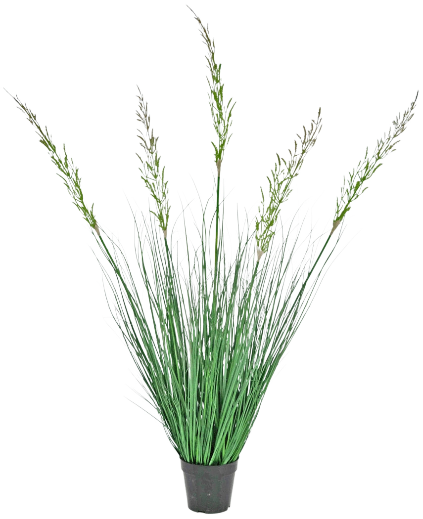 La Planta de Césped Artificial Trigo ignífugo de 120 cm en maceta tiene hojas altas y erguidas y tallos florales, lo que la hace ideal para un interior verde. Esta planta que no requiere mantenimiento agrega un elegante verdor sobre un fondo blanco.