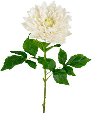 Un Kunst Georgine Real Touch blanco de 70 cm presenta una única dalia blanca realista con pétalos en capas y hojas verdes dentadas en un tallo largo, sobre un fondo blanco liso.