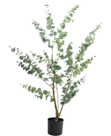 La Planta Artificial Eucalipto 150 cm es un eucalipto artificial alto en una maceta con ramas largas y delgadas y hojas redondas de color verde plateado, sobre un fondo blanco liso.