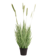 La Planta de Césped Artificial Verde ignífugo de 130 cm tiene hojas verdes largas y delgadas y tallos largos parecidos al trigo en una pequeña maceta negra, sobre un fondo blanco.