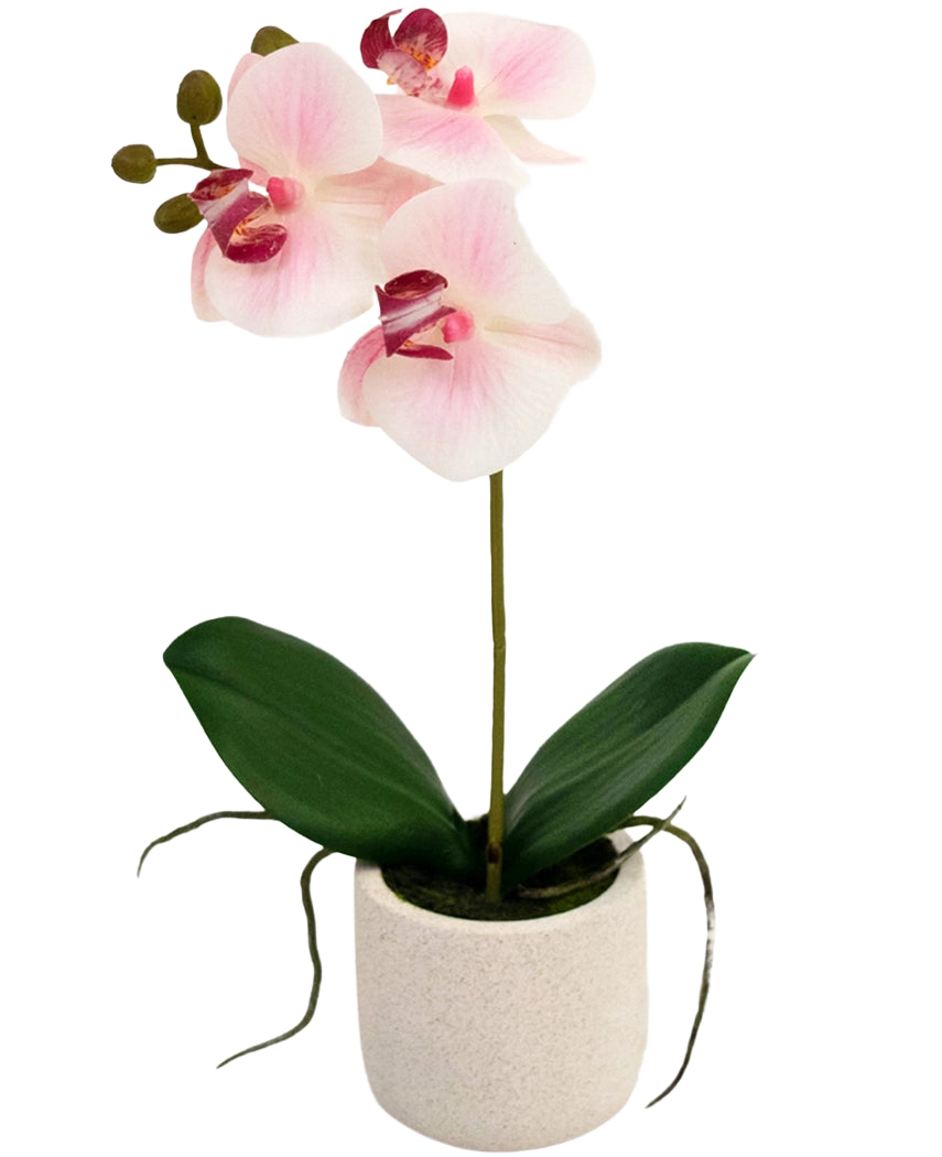 La Orquídea Artificial Real Touch 30 cm rosa/blanco tiene tres flores de color rosa claro y hojas verdes en una sencilla maceta blanca, perfecta para iluminar cualquier habitación.