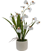 El Oncidium Artificial Real Touch 48 cm blanco tiene orquídeas blancas realistas con hojas verdes, bellamente dispuestas en una sencilla maceta de cerámica redonda y de color claro.