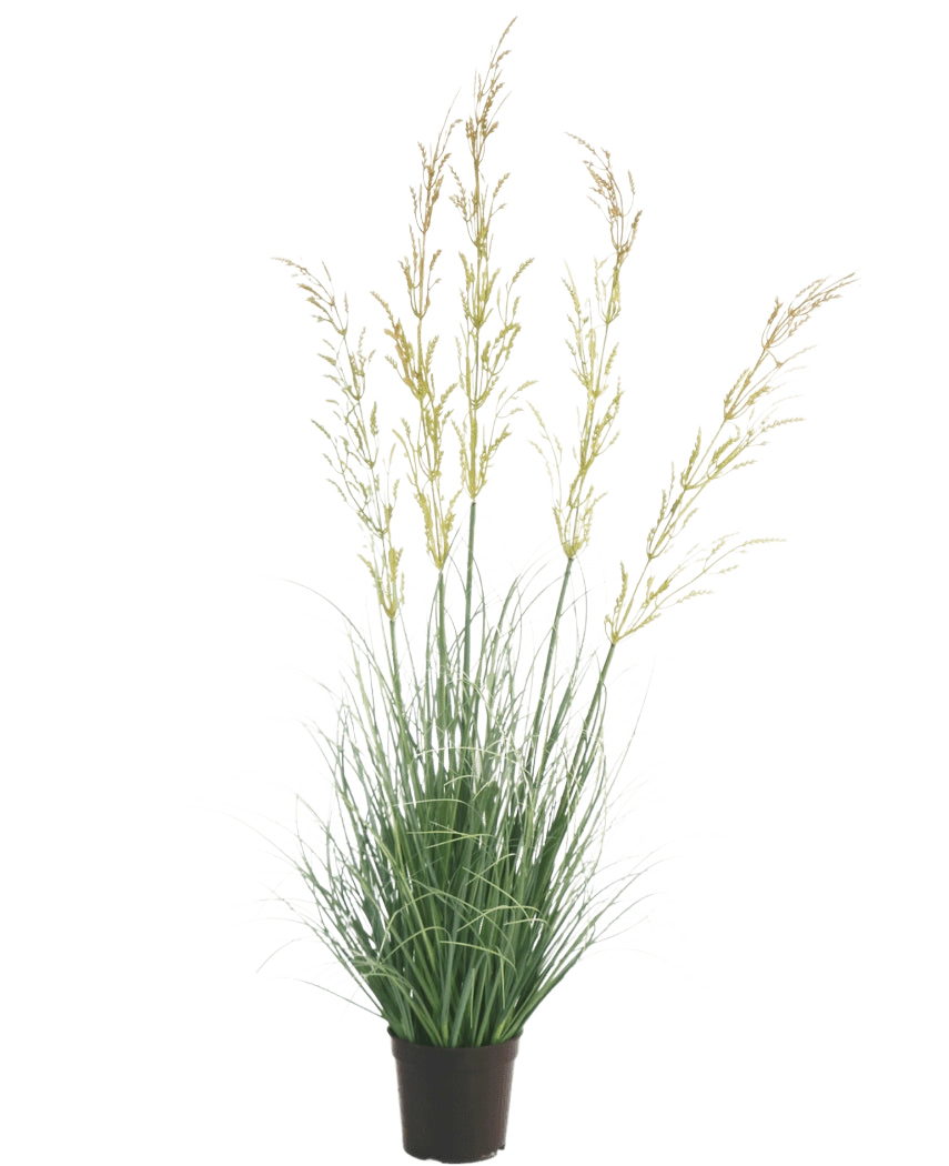 La planta de césped artificial Trigo ignífugo de 90 cm destaca bellamente sobre un fondo blanco con sus esbeltas hojas verdes y sus largas espigas amarillentas, ideal entre las plantas artificiales para el hogar y el jardín.