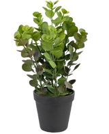 La Planta Artificial Vicks 33 cm es una planta artificial de hojas verdes y redondas en una sencilla maceta negra, sobre un fondo liso blanco.