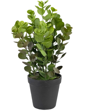 La Planta Artificial Vicks 33 cm es una planta artificial de hojas verdes y redondas en una sencilla maceta negra, sobre un fondo liso blanco.