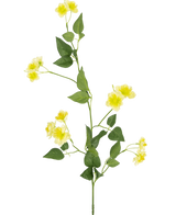 La flor artificial Ranúnculo de 77 cm es un único tallo verde con múltiples ramas, pequeñas flores amarillas y hojas verdes, ideal para componer su ramo, que se muestra sobre un fondo blanco liso.