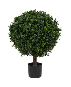 El Boj Artificial con tallo estilo romano UV 85cm es un árbol artificial redondo, frondoso y de color verde, con follaje denso y un solo tronco, en una sencilla maceta negra sobre un fondo liso blanco.