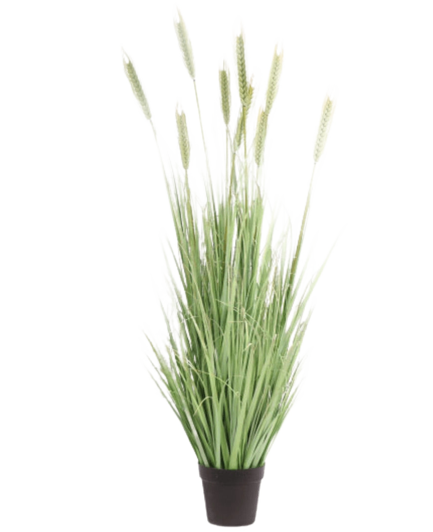 La Planta de Césped Artificial Verde 150 cm ignífugo tiene unas hojas altas y esbeltas de color verde y unos tallos parecidos al trigo, que aportan un aspecto natural en el interior. Esta planta de césped artificial se alza sobre un fondo blanco liso.
