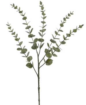 La flor artificial Eucalipto Yugali de 71 cm es un único tallo artificial con cinco ramas ramificadas y pequeñas hojas verdes redondas, representadas aisladas sobre un fondo blanco.