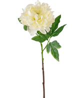 La flor artificial Peonía 61 cm blanca es una peonía artificial blanca con pétalos estratificados y hojas verdes sobre un largo tallo marrón, representada sobre un fondo blanco liso.