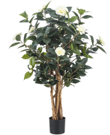 La Planta Artificial Camellia japonica 100 cm tiene varios tallos altos de color marrón, hojas de color verde oscuro y flores artificiales blancas sobre un fondo blanco liso.