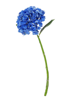 La Flor Artificial Charlotte Hydrangea Real Touch azul oscuro es una única hortensia artificial azul con tallo y hojas verdes, de 55 cm de altura, aislada sobre un fondo blanco.