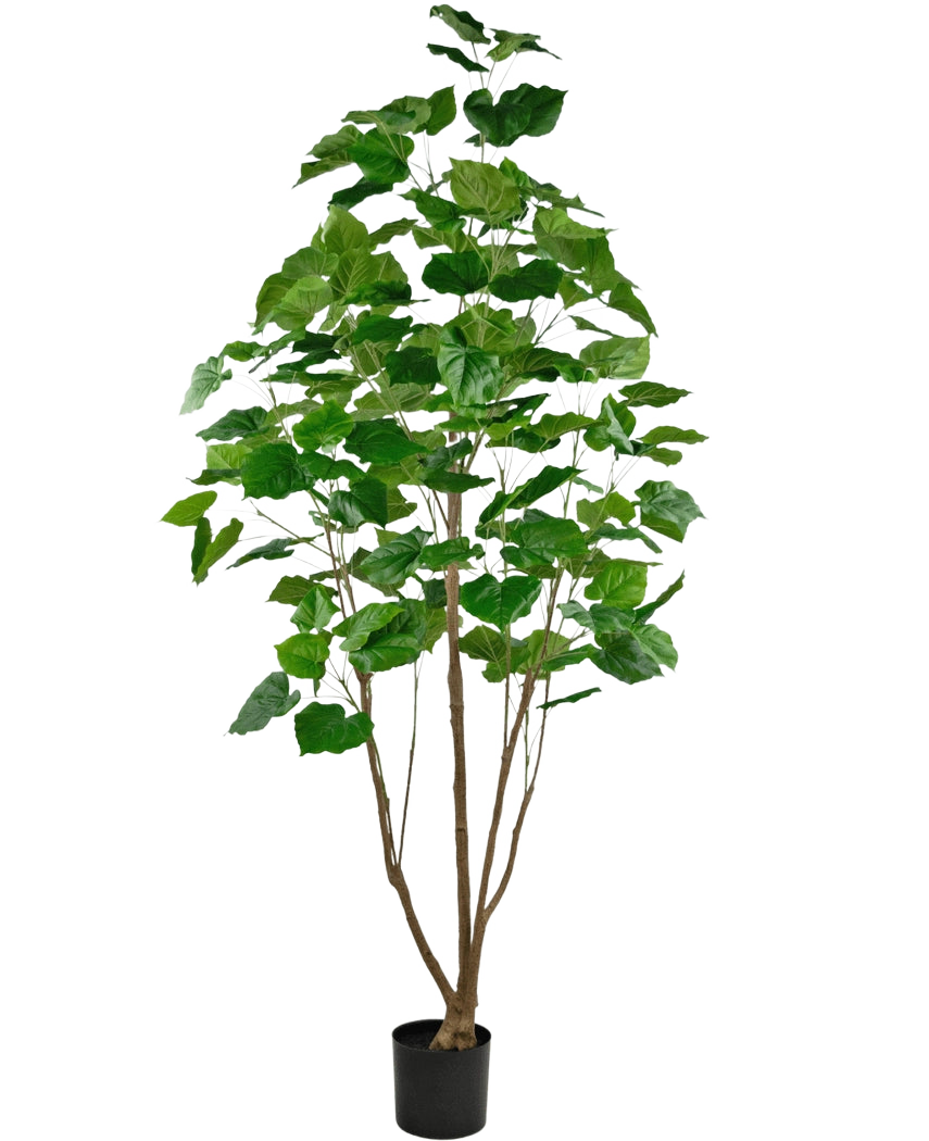 La Planta Artificial Ficus 210 cm es una planta de interior alta en una maceta con varios tallos delgados de color marrón y hojas verdes grandes y exuberantes, sobre un fondo blanco liso.