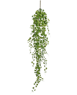 La Planta Artificial Colgante Pumila de 100 cm tiene una enredadera larga y sinuosa con pequeñas hojas verdes redondas que cuelgan de un solo tallo, sobre un fondo blanco liso.