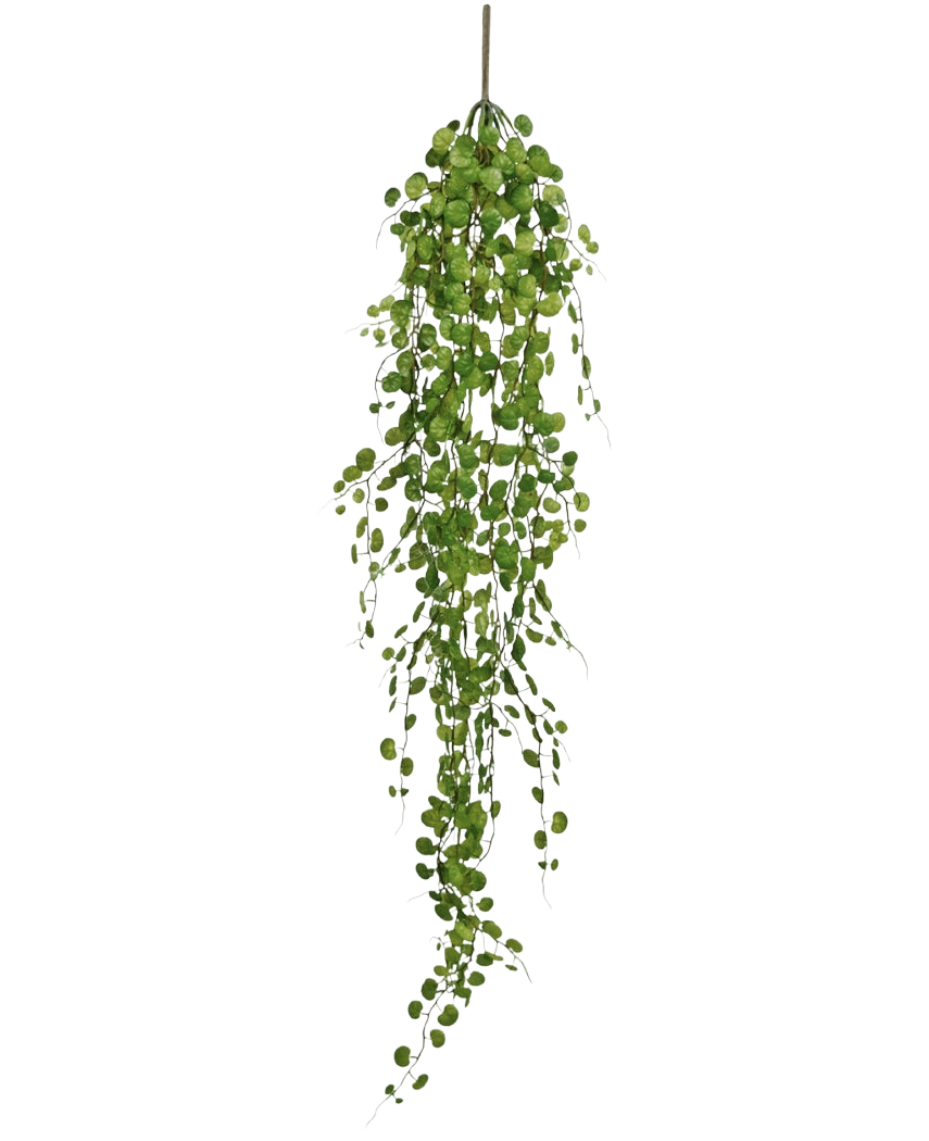 La Planta Artificial Colgante Pumila de 100 cm tiene una enredadera larga y sinuosa con pequeñas hojas verdes redondas que cuelgan de un solo tallo, sobre un fondo blanco liso.