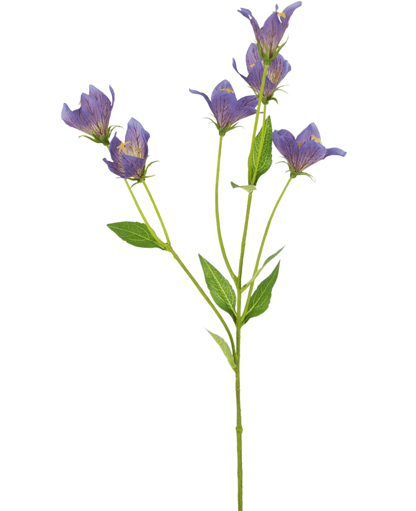 La flor artificial de campanilla de 62 cm violeta tiene un único tallo verde con múltiples ramas, cada una decorada con delicadas flores violetas y hojas verdes, sobre un fondo blanco liso.