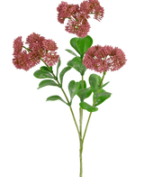 Una rama artificial de Sedum de 56 cm de color rosa con hojas verdes y racimos de flores pequeñas, redondas y tenues de color rojo rosado sobre un fondo blanco.