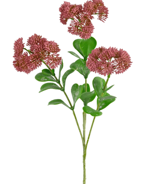Una rama artificial de Sedum de 56 cm de color rosa con hojas verdes y racimos de flores pequeñas, redondas y tenues de color rojo rosado sobre un fondo blanco.