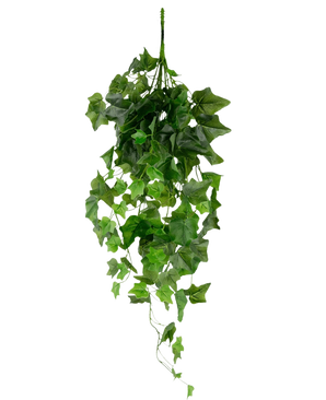 La Hiedra Artificial 70 cm verde es una hiedra artificial colgante con hojas verdes colgantes y múltiples zarcillos sobre un fondo liso blanco.