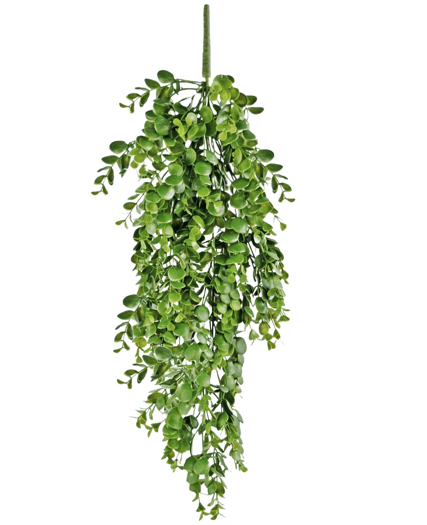 La planta colgante artificial Pancake de 61 cm tiene hojas artificiales de un verde vibrante que caen sobre un fondo blanco liso y se asemeja a una enredadera colgante real.