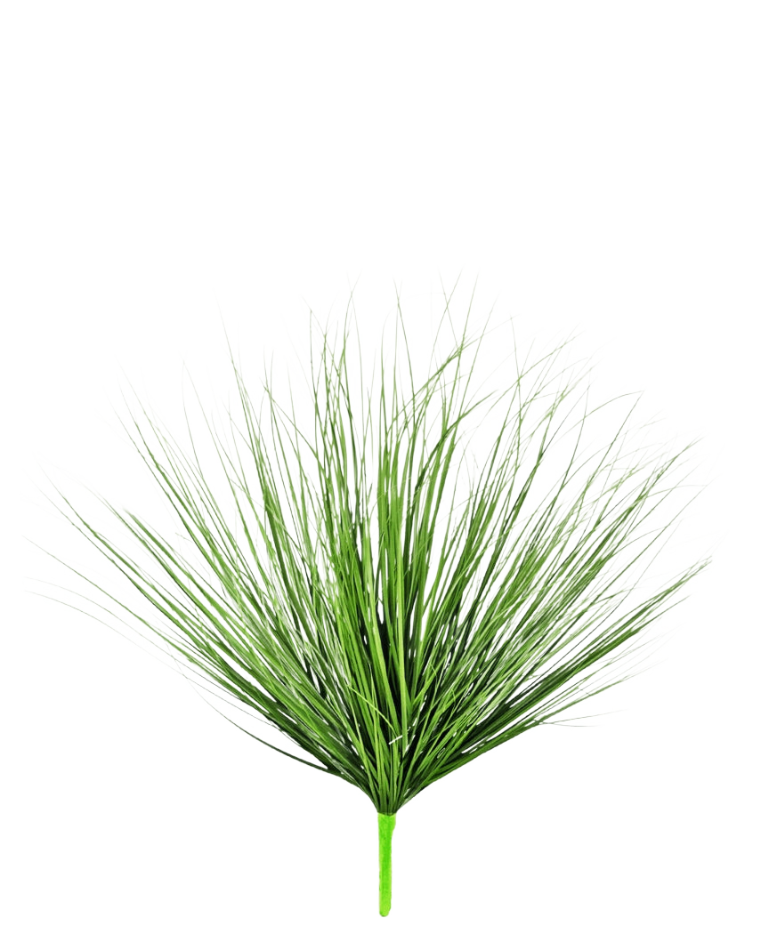 La Planta de Césped Artificial Cebolla ignífuga de 70 cm tiene hojas largas, finas y verdes, parecidas a la hierba, que emergen de un solo tallo, sobre un fondo liso y blanco.