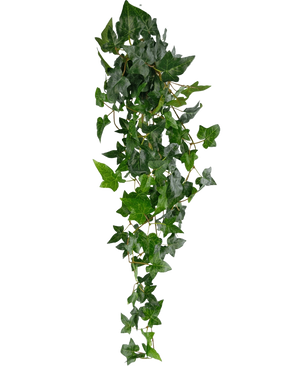 La planta colgante artificial Ivy Boston 100 cm verde tiene hojas puntiagudas de un verde exuberante en tallos largos y delgados, creando un efecto realista de hiedra sobre un fondo blanco liso.