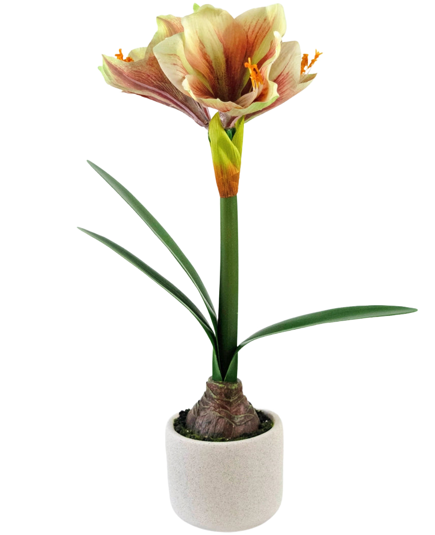 La Flor Artificial Amarilis Real Touch Rojo/Amarillo 48 cm tiene hojas verdes realistas y un tallo alto con flores rojas y amarillas en forma de trompeta, bellamente presentadas sobre un fondo blanco.
