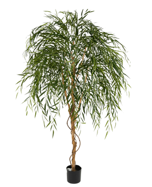 El sauce artificial de 210 cm es un árbol artificial alto con hojas verdes delgadas y colgantes y un tronco marrón retorcido sobre un fondo blanco liso.