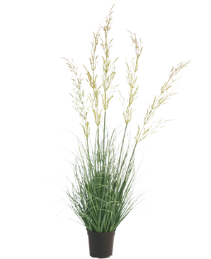 La planta de césped artificial Trigo ignífugo de 90 cm destaca bellamente sobre un fondo blanco con sus esbeltas hojas verdes y sus largas espigas amarillentas, ideal entre las plantas artificiales para el hogar y el jardín.
