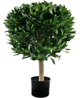 La planta Laurel Artificial UV d55 cm tiene un tronco recto y un racimo denso y redondo de hojas de color verde brillante, presentadas en un recipiente negro sobre un fondo blanco.