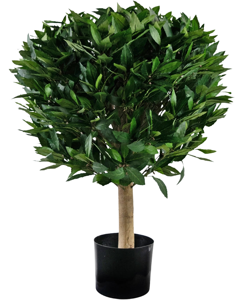 La planta Laurel Artificial UV d55 cm tiene un tronco recto y un racimo denso y redondo de hojas de color verde brillante, presentadas en un recipiente negro sobre un fondo blanco.