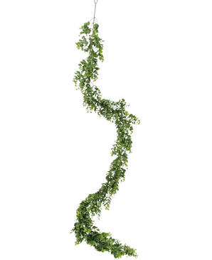 La enredadera artificial Pumila de 182 cm tiene una enredadera verde larga y sinuosa con hojas pequeñas que cuelga verticalmente sobre un fondo blanco liso.