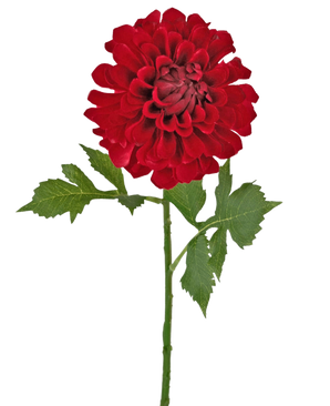 Flor artificial Dalia 50 cm roja: una sola dalia roja con múltiples capas de pétalos y hojas verdes sobre un tallo largo, aislada sobre un fondo blanco.