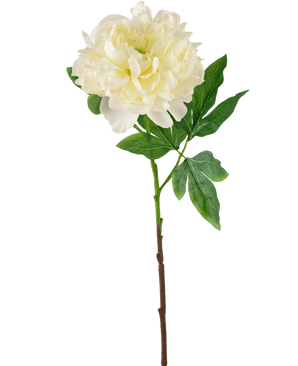 La flor artificial Peonía 61 cm blanca es una peonía artificial blanca con pétalos estratificados y hojas verdes sobre un largo tallo marrón, representada sobre un fondo blanco liso.