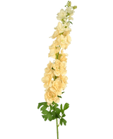 Una única Flor Artificial Delphinium de 105 cm color crema con varias flores de color amarillo claro y hojas verdes, sobre un fondo liso blanco.