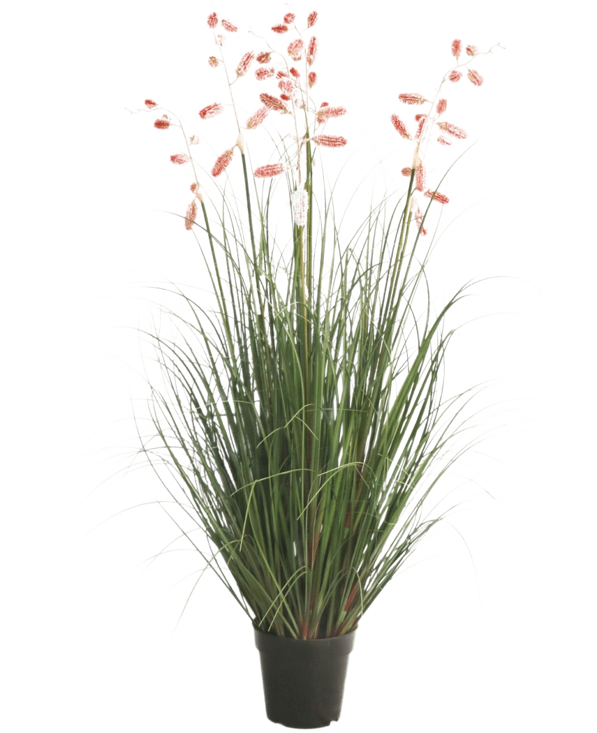 La Planta de Césped Artificial Ciempiés Hierba ignífuga de 120 cm tiene largas hojas verdes y tallos largos y delgados con penachos rosados, presentados sobre un fondo blanco.