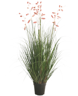 La Planta de Césped Artificial Ciempiés Hierba ignífuga de 120 cm tiene largas hojas verdes y tallos largos y delgados con penachos rosados, presentados sobre un fondo blanco.
